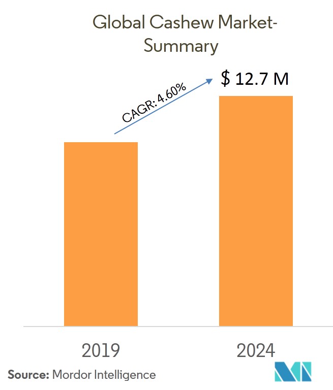 Cashew Market Growth, Trends, and Forecast 20192024